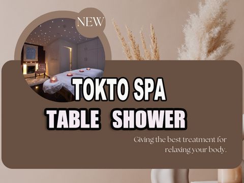 Tokyo Spa, spa in Jackson, MI